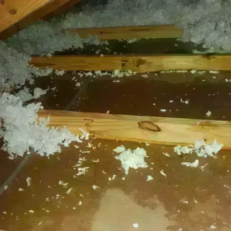 Attic Water Damage in De Graff, OH